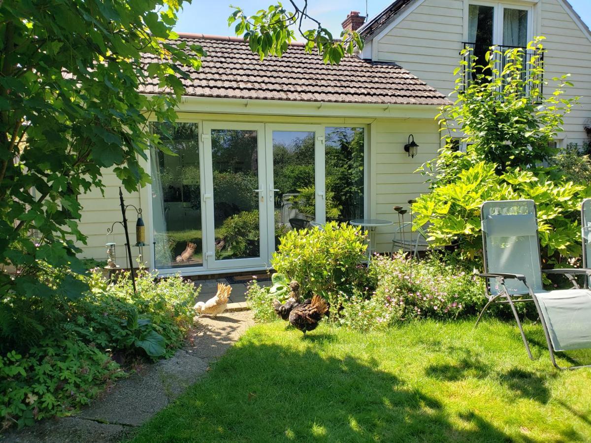 Luxury Self Catering With Cosy Cabin & Sauna In 콜체스터 외부 사진